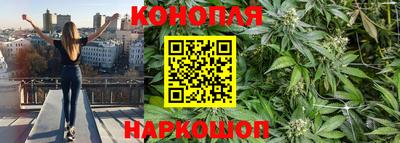 apvp Новозыбков