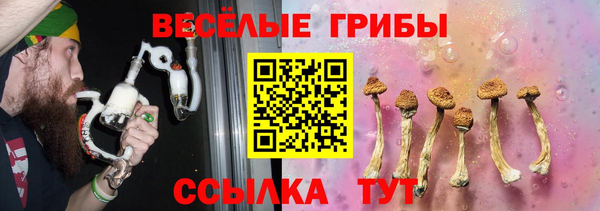 Псилоцибиновые грибы мицелий  Вход с VPN  Рыбинск  Галлюциногенные грибы Psilocybe 